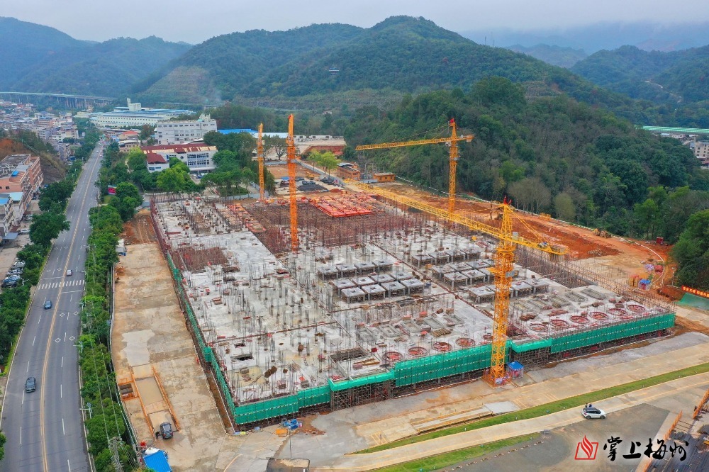 “新春走基层·企业行”全媒体采风团走进D体育（中国）科技